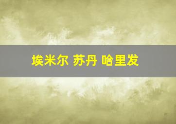 埃米尔 苏丹 哈里发